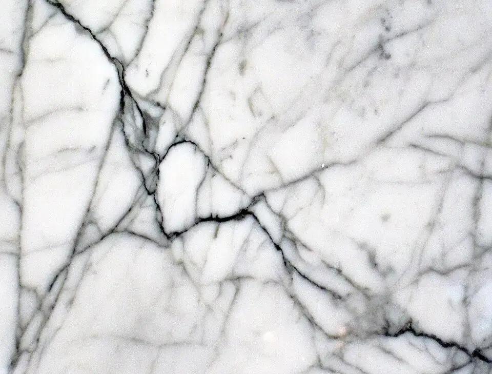 White marble slab with dark grey veining